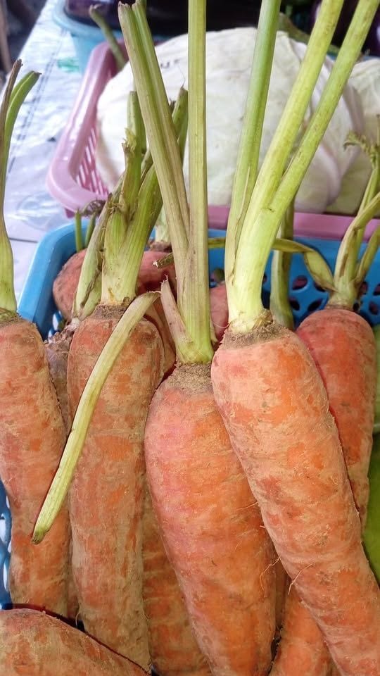Farm-Fresh Carrots – Fresh, Healthy & Delicious