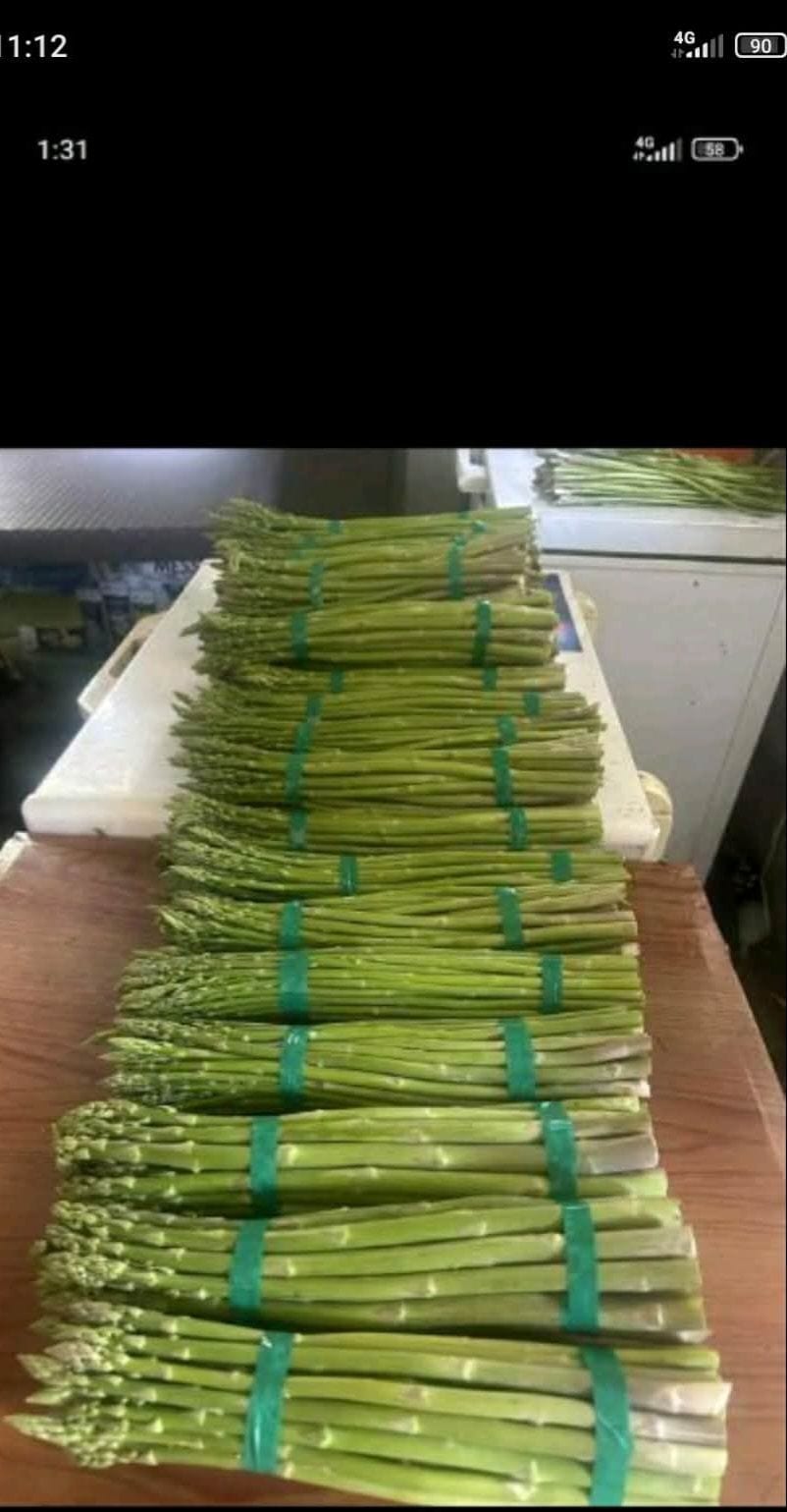 Asparagus for Sale