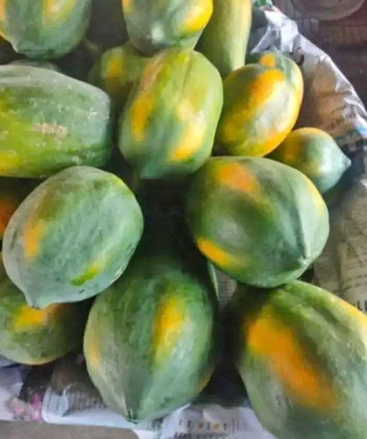 Juicy Papaya – A Delicious Tropical Treat