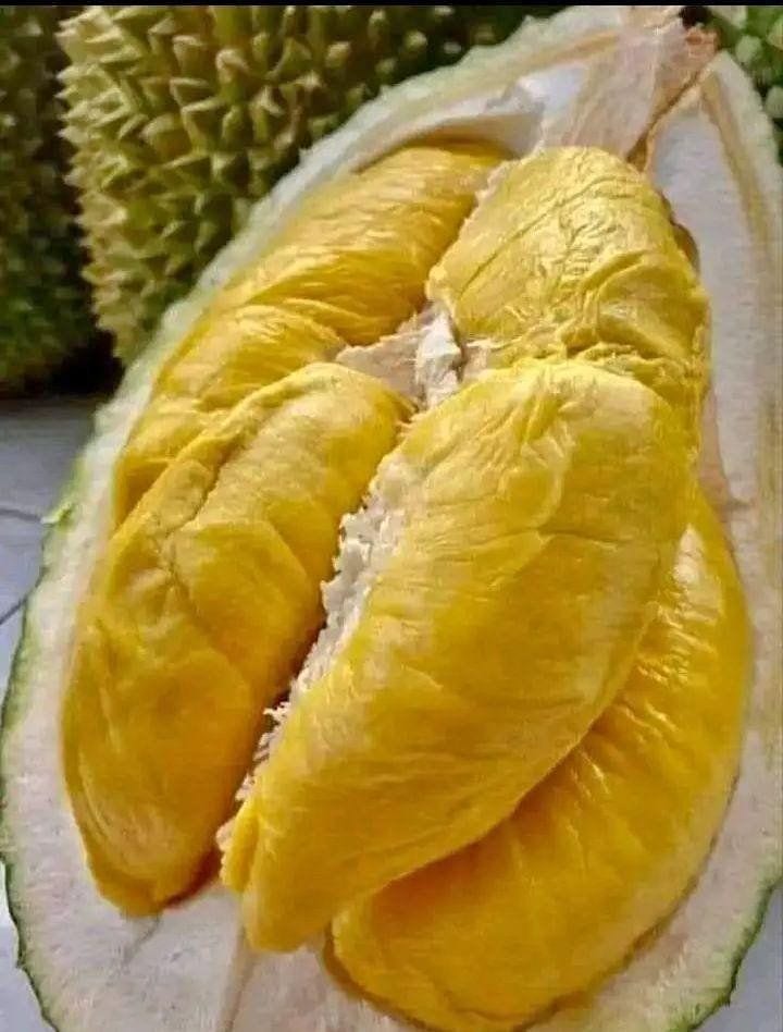 Rich & Creamy Durian – A True Tropical Favorite