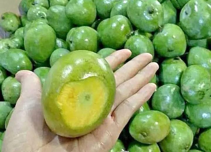 Naturally Sweet Indian Mango – Perfect for Snacking