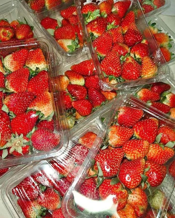 🍓 Sweet & Juicy Strawberries – A Delicious Berry Treat