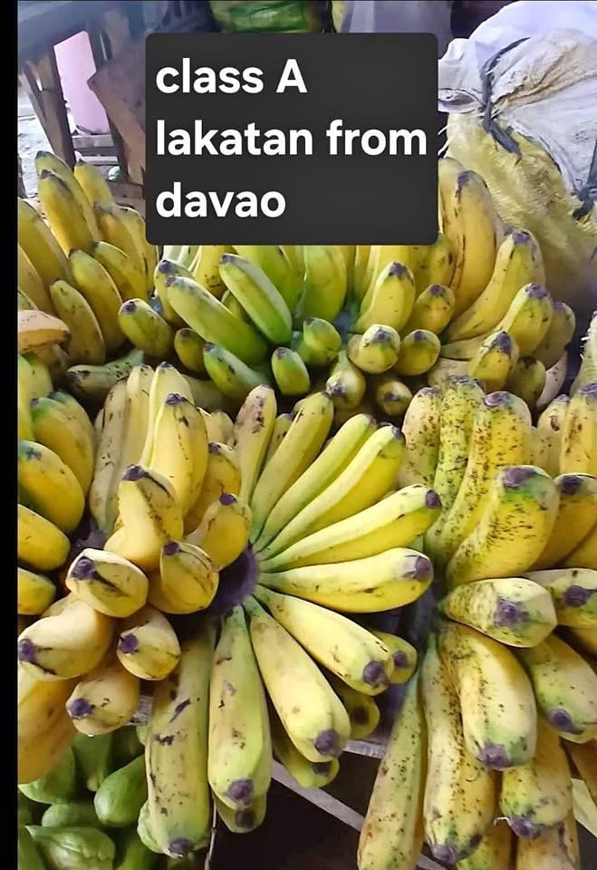 🌱 Locally Grown Sweet Lakatan