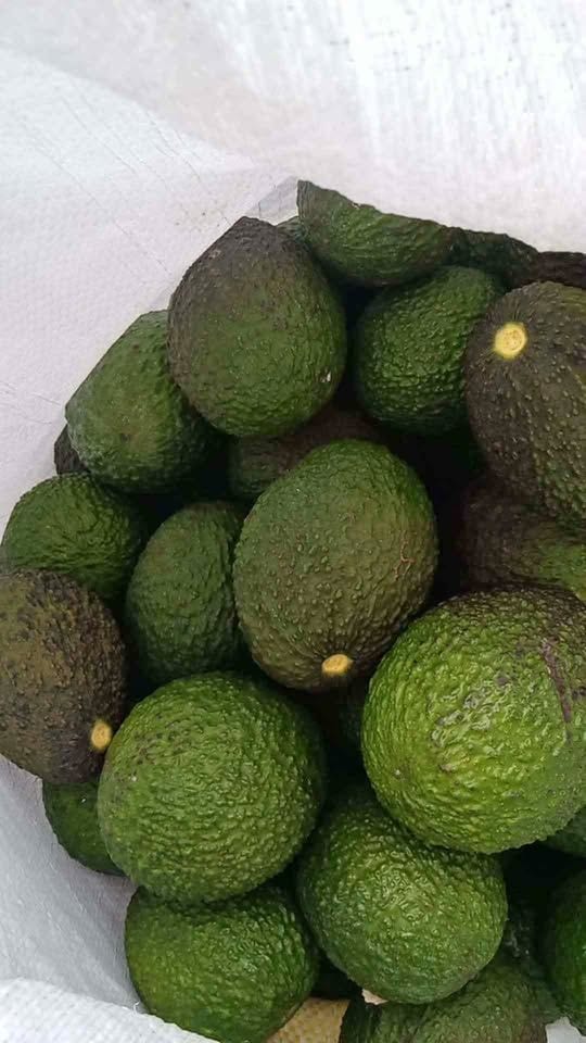 🥑 Creamy & Naturally Sweet Avocado 🥑