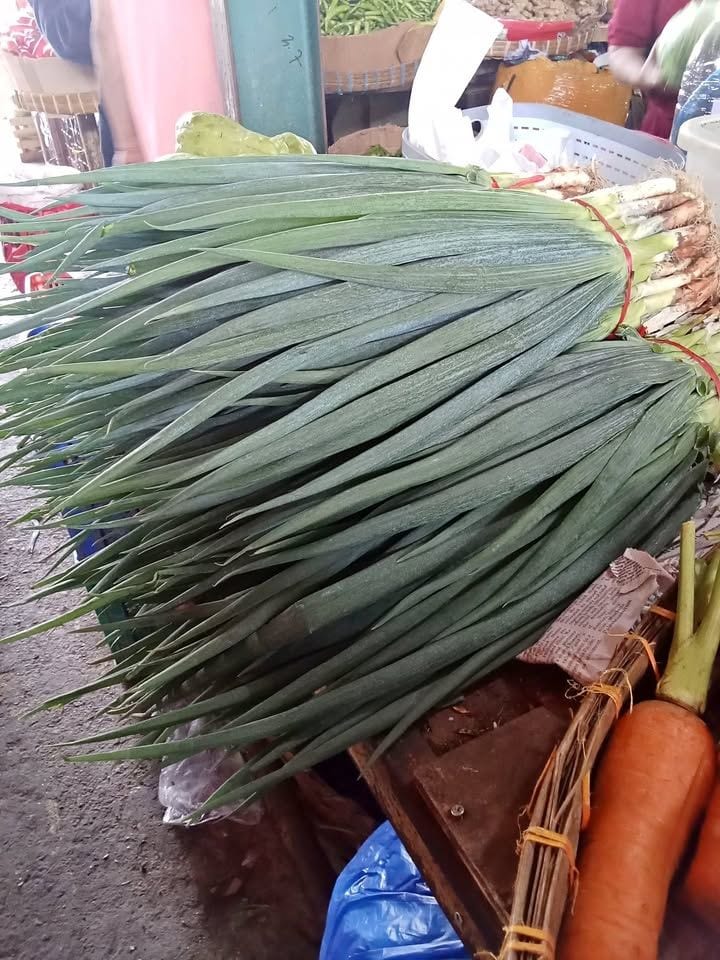 Fresh Spring Onions from Cebu City
