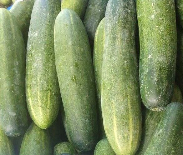 Pepino (Cucumber) - Locally Grown