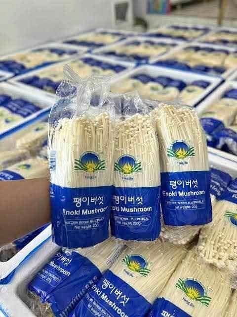 Davao City Fresh Enoki Mushrooms